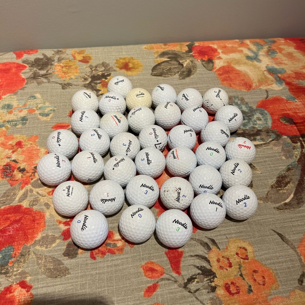 Noodle Used Golf Balls and Tees-37